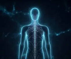 متى يصل جسم الإنسان إلى ذروة نموه؟